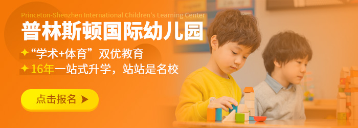 深圳普林斯顿国际幼儿园如何